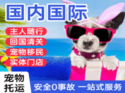 张家口航空邮寄国际宠物托运 【国